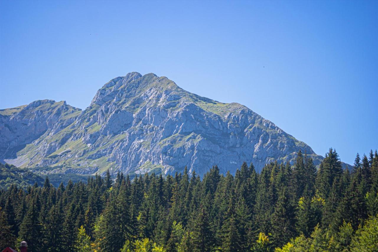 Holiday Home Lisica Žabljak Dış mekan fotoğraf